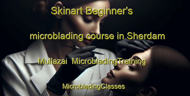 Skinart Beginner's microblading course in Sherdam Mullazai | MicrobladingTraining | MicrobladingClasses | SkinartTraining-Pakistan