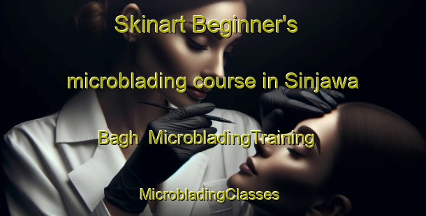 Skinart Beginner's microblading course in Sinjawa Bagh | MicrobladingTraining | MicrobladingClasses | SkinartTraining-Pakistan