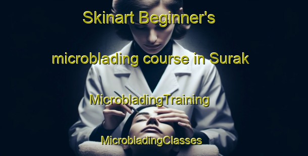 Skinart Beginner's microblading course in Surak | MicrobladingTraining | MicrobladingClasses | SkinartTraining-Pakistan