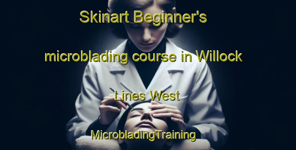 Skinart Beginner's microblading course in Willock Lines West | MicrobladingTraining | MicrobladingClasses | SkinartTraining-Pakistan