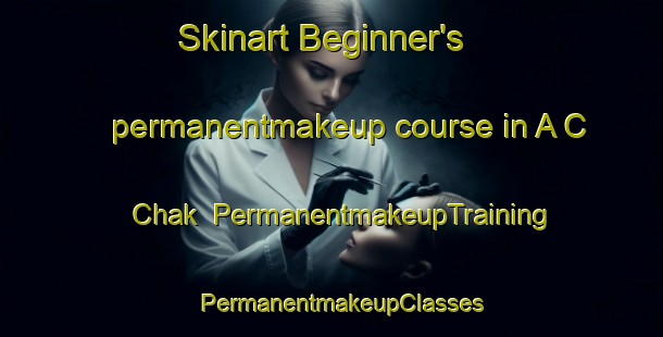 Skinart Beginner's permanentmakeup course in A C Chak | PermanentmakeupTraining | PermanentmakeupClasses | SkinartTraining-Pakistan