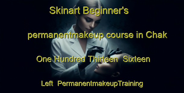 Skinart Beginner's permanentmakeup course in Chak One Hundred Thirteen  Sixteen Left | PermanentmakeupTraining | PermanentmakeupClasses | SkinartTraining-Pakistan