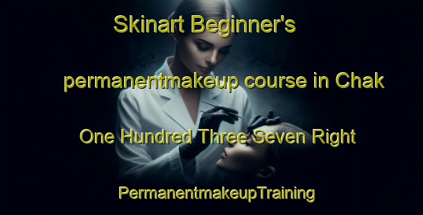 Skinart Beginner's permanentmakeup course in Chak One Hundred Three Seven Right | PermanentmakeupTraining | PermanentmakeupClasses | SkinartTraining-Pakistan