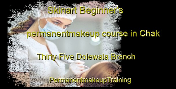 Skinart Beginner's permanentmakeup course in Chak Thirty Five Dolewala Branch | PermanentmakeupTraining | PermanentmakeupClasses | SkinartTraining-Pakistan