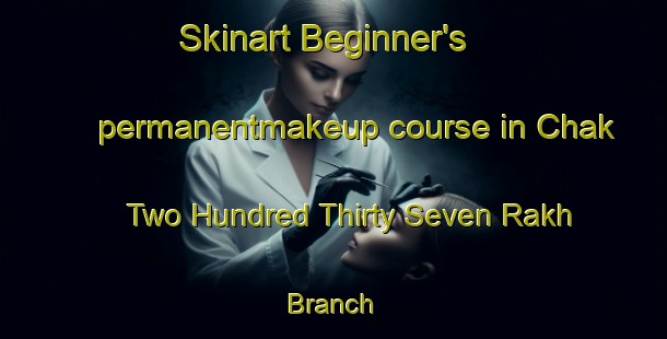 Skinart Beginner's permanentmakeup course in Chak Two Hundred Thirty Seven Rakh Branch | PermanentmakeupTraining | PermanentmakeupClasses | SkinartTraining-Pakistan