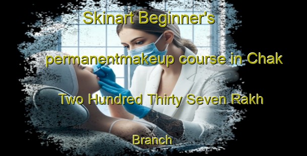 Skinart Beginner's permanentmakeup course in Chak Two Hundred Thirty Seven Rakh Branch | PermanentmakeupTraining | PermanentmakeupClasses | SkinartTraining-Pakistan