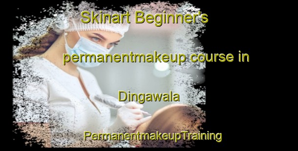 Skinart Beginner's permanentmakeup course in Dingawala | PermanentmakeupTraining | PermanentmakeupClasses | SkinartTraining-Pakistan