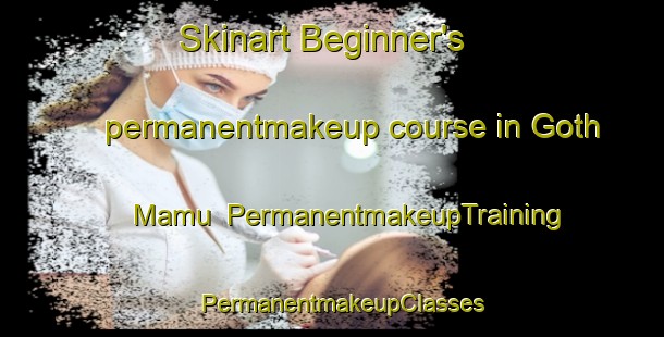 Skinart Beginner's permanentmakeup course in Goth Mamu | PermanentmakeupTraining | PermanentmakeupClasses | SkinartTraining-Pakistan