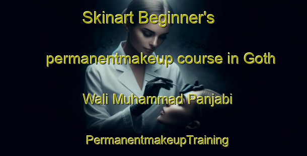 Skinart Beginner's permanentmakeup course in Goth Wali Muhammad Panjabi | PermanentmakeupTraining | PermanentmakeupClasses | SkinartTraining-Pakistan