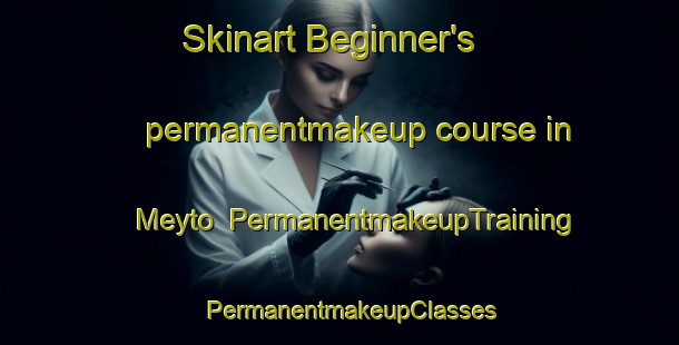 Skinart Beginner's permanentmakeup course in Meyto | PermanentmakeupTraining | PermanentmakeupClasses | SkinartTraining-Pakistan