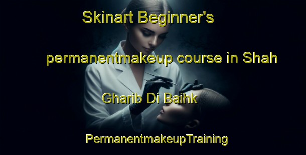 Skinart Beginner's permanentmakeup course in Shah Gharib Di Baihk | PermanentmakeupTraining | PermanentmakeupClasses | SkinartTraining-Pakistan