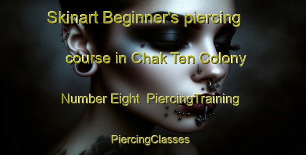 Skinart Beginner's piercing course in Chak Ten Colony Number Eight | PiercingTraining | PiercingClasses | SkinartTraining-Pakistan