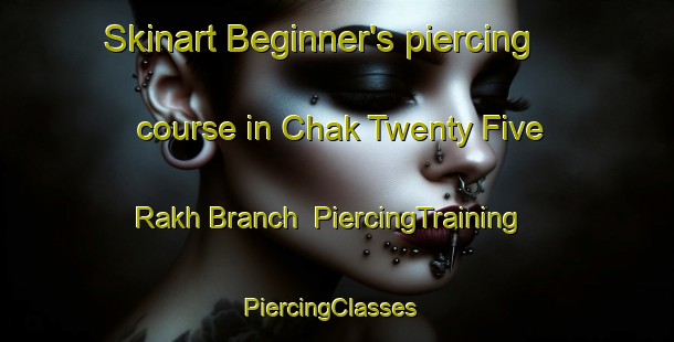 Skinart Beginner's piercing course in Chak Twenty Five Rakh Branch | PiercingTraining | PiercingClasses | SkinartTraining-Pakistan