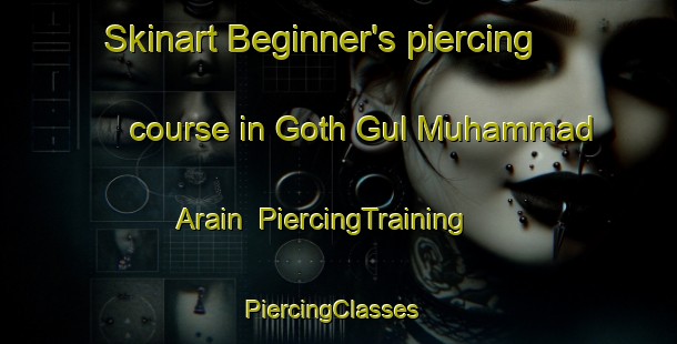 Skinart Beginner's piercing course in Goth Gul Muhammad Arain | PiercingTraining | PiercingClasses | SkinartTraining-Pakistan