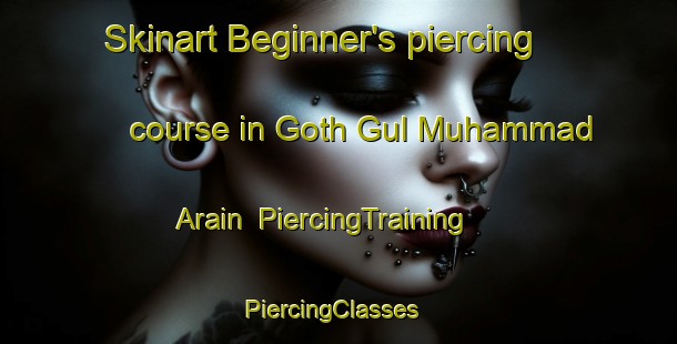 Skinart Beginner's piercing course in Goth Gul Muhammad Arain | PiercingTraining | PiercingClasses | SkinartTraining-Pakistan