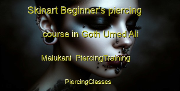 Skinart Beginner's piercing course in Goth Umed Ali Malukani | PiercingTraining | PiercingClasses | SkinartTraining-Pakistan