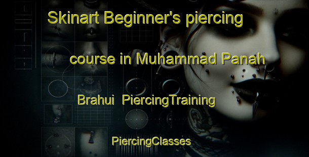 Skinart Beginner's piercing course in Muhammad Panah Brahui | PiercingTraining | PiercingClasses | SkinartTraining-Pakistan