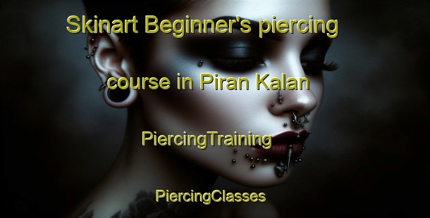Skinart Beginner's piercing course in Piran Kalan | PiercingTraining | PiercingClasses | SkinartTraining-Pakistan