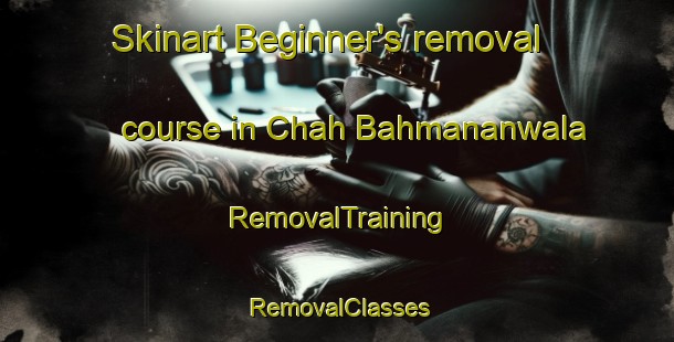 Skinart Beginner's removal course in Chah Bahmananwala | RemovalTraining | RemovalClasses | SkinartTraining-Pakistan