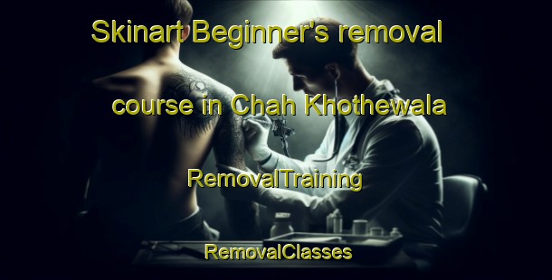 Skinart Beginner's removal course in Chah Khothewala | RemovalTraining | RemovalClasses | SkinartTraining-Pakistan