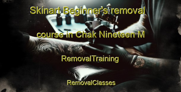 Skinart Beginner's removal course in Chak Nineteen M | RemovalTraining | RemovalClasses | SkinartTraining-Pakistan