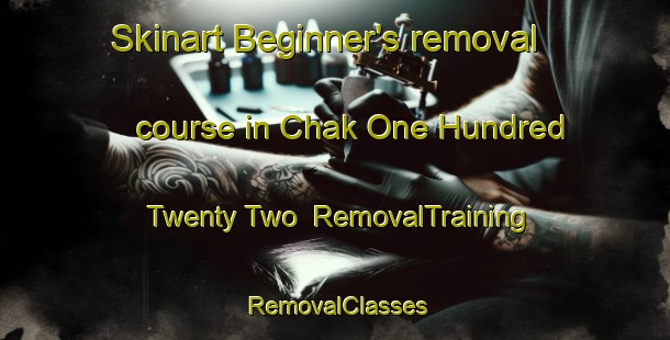Skinart Beginner's removal course in Chak One Hundred Twenty Two | RemovalTraining | RemovalClasses | SkinartTraining-Pakistan
