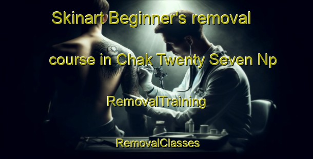 Skinart Beginner's removal course in Chak Twenty Seven Np | RemovalTraining | RemovalClasses | SkinartTraining-Pakistan