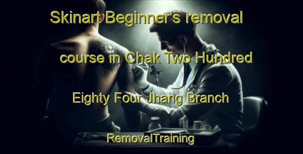 Skinart Beginner's removal course in Chak Two Hundred Eighty Four Jhang Branch | RemovalTraining | RemovalClasses | SkinartTraining-Pakistan