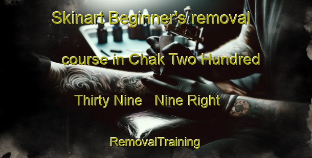 Skinart Beginner's removal course in Chak Two Hundred Thirty Nine   Nine Right | RemovalTraining | RemovalClasses | SkinartTraining-Pakistan