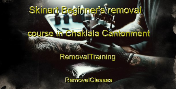 Skinart Beginner's removal course in Chaklala Cantonment | RemovalTraining | RemovalClasses | SkinartTraining-Pakistan
