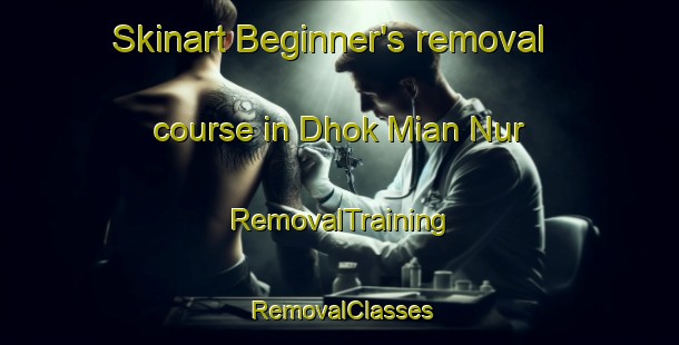 Skinart Beginner's removal course in Dhok Mian Nur | RemovalTraining | RemovalClasses | SkinartTraining-Pakistan