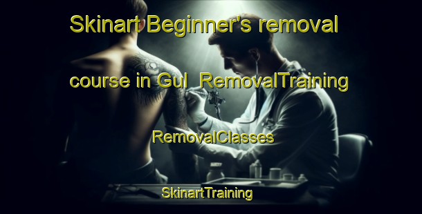 Skinart Beginner's removal course in Gul | RemovalTraining | RemovalClasses | SkinartTraining-Pakistan