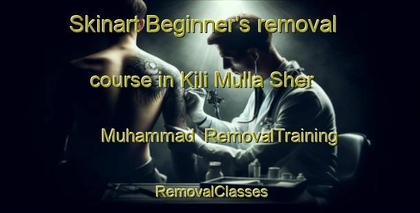 Skinart Beginner's removal course in Kili Mulla Sher Muhammad | RemovalTraining | RemovalClasses | SkinartTraining-Pakistan