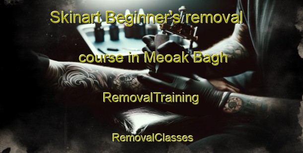 Skinart Beginner's removal course in Meoak Bagh | RemovalTraining | RemovalClasses | SkinartTraining-Pakistan