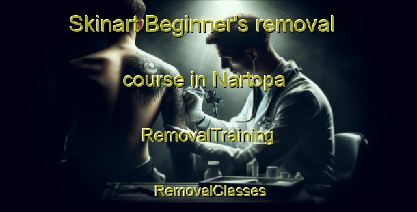 Skinart Beginner's removal course in Nartopa | RemovalTraining | RemovalClasses | SkinartTraining-Pakistan
