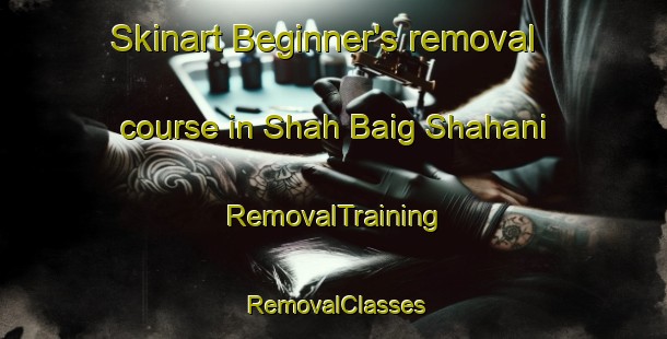 Skinart Beginner's removal course in Shah Baig Shahani | RemovalTraining | RemovalClasses | SkinartTraining-Pakistan