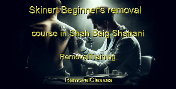 Skinart Beginner's removal course in Shah Baig Shahani | RemovalTraining | RemovalClasses | SkinartTraining-Pakistan