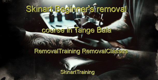 Skinart Beginner's removal course in Tange Bala | #RemovalTraining #RemovalClasses #SkinartTraining-Pakistan