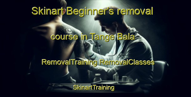 Skinart Beginner's removal course in Tange Bala | #RemovalTraining #RemovalClasses #SkinartTraining-Pakistan