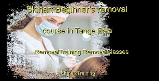 Skinart Beginner's removal course in Tange Bala | #RemovalTraining #RemovalClasses #SkinartTraining-Pakistan