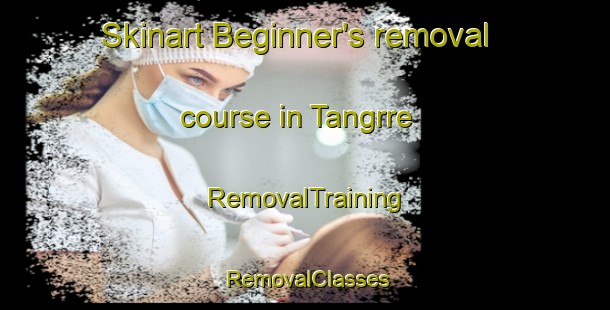 Skinart Beginner's removal course in Tangrre | RemovalTraining | RemovalClasses | SkinartTraining-Pakistan
