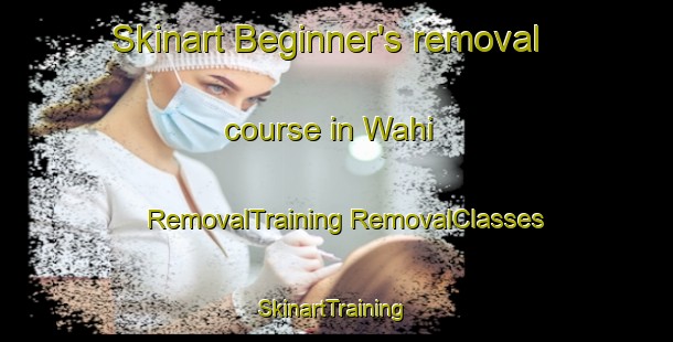 Skinart Beginner's removal course in Wahi | #RemovalTraining #RemovalClasses #SkinartTraining-Pakistan