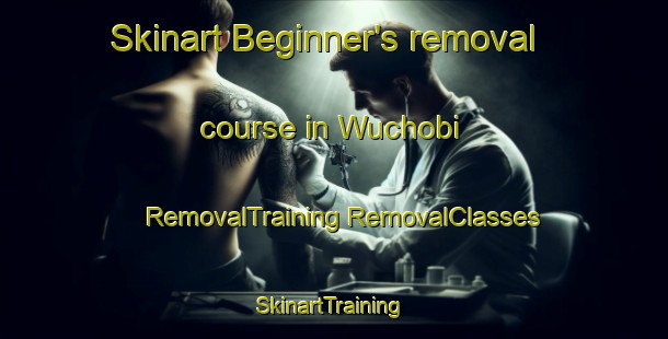 Skinart Beginner's removal course in Wuchobi | #RemovalTraining #RemovalClasses #SkinartTraining-Pakistan