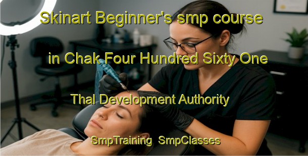 Skinart Beginner's smp course in Chak Four Hundred Sixty One Thal Development Authority | SmpTraining | SmpClasses | SkinartTraining-Pakistan