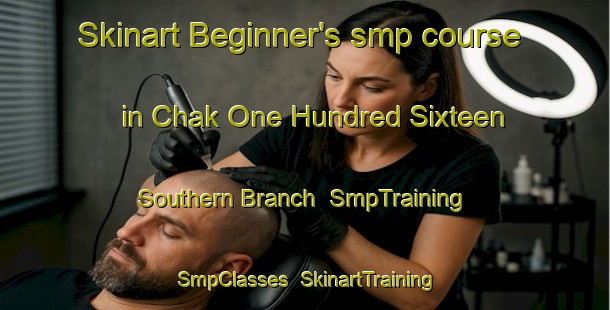 Skinart Beginner's smp course in Chak One Hundred Sixteen Southern Branch | SmpTraining | SmpClasses | SkinartTraining-Pakistan