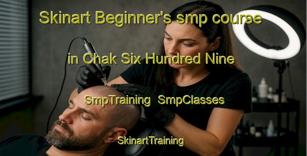 Skinart Beginner's smp course in Chak Six Hundred Nine | SmpTraining | SmpClasses | SkinartTraining-Pakistan