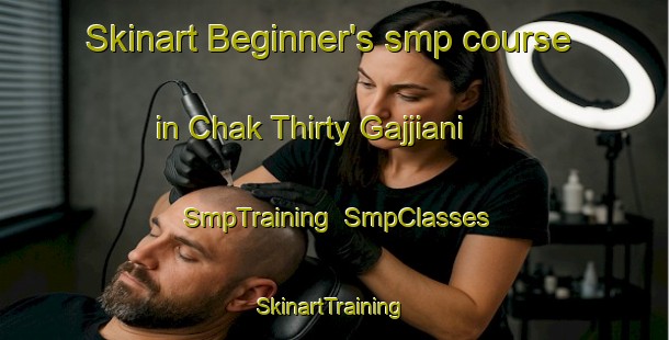 Skinart Beginner's smp course in Chak Thirty Gajjiani | SmpTraining | SmpClasses | SkinartTraining-Pakistan