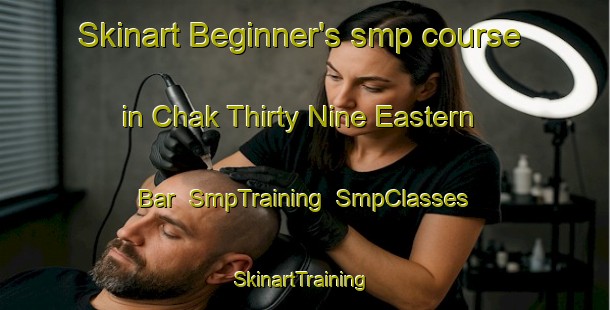 Skinart Beginner's smp course in Chak Thirty Nine Eastern Bar | SmpTraining | SmpClasses | SkinartTraining-Pakistan