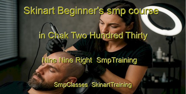 Skinart Beginner's smp course in Chak Two Hundred Thirty Nine Nine Right | SmpTraining | SmpClasses | SkinartTraining-Pakistan