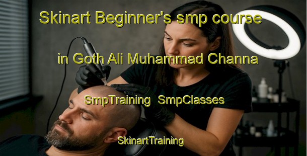 Skinart Beginner's smp course in Goth Ali Muhammad Channa | SmpTraining | SmpClasses | SkinartTraining-Pakistan